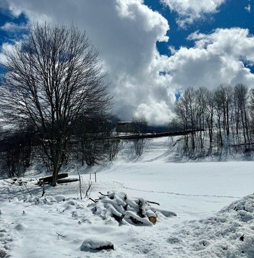 Il Piemonte sguazza nella neve (+62%) e si ritrova con tutti i fiumi pieni d'acqua Il Piemonte sguazza nella neve (+62%) e si ritrova con tutti i fiumi pieni d'acqua