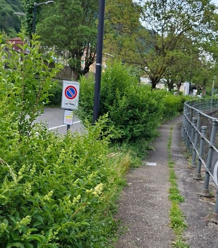 "I divieti di sosta sono stati posti in seguito agli impegni presi dalle ferrovie" "I divieti di sosta sono stati posti in seguito agli impegni presi dalle ferrovie"