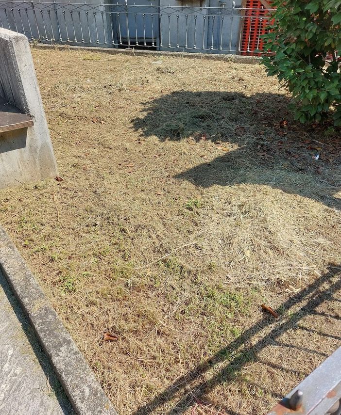 Omegna, nuove polemiche sulla manutenzione dell’area del monumento a Beltrami Omegna, nuove polemiche sulla manutenzione dell’area del monumento a Beltrami