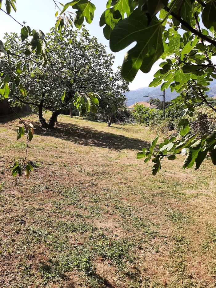 Collaborazione tra quartieri e amministrazione per migliorare la sicurezza e la qualità della vita Collaborazione tra quartieri e amministrazione per migliorare la sicurezza e la qualità della vita