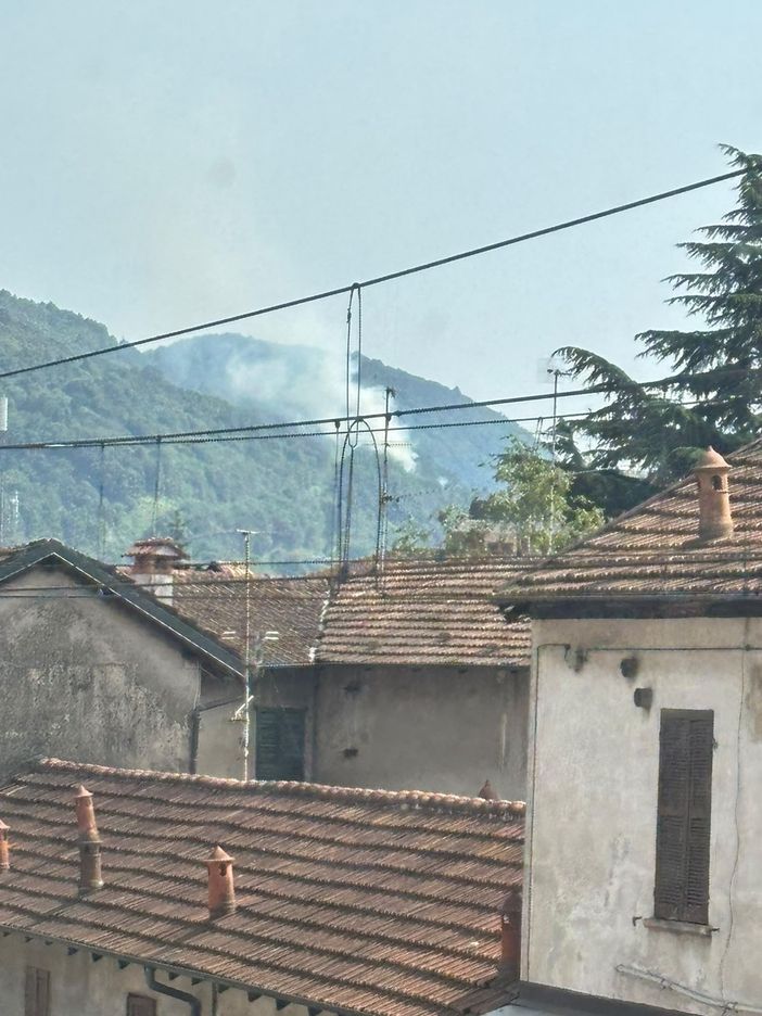 Incendio boschivo ad Agrano, in azione i vigili del fuoco Incendio boschivo ad Agrano, in azione i vigili del fuoco