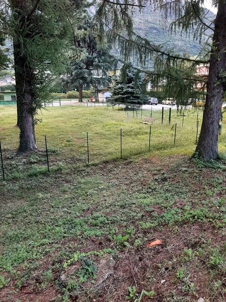 Risposta decisa dell'assessore Moscatiello alle critiche sull'area sgambamento cani di Crusinallo