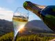 Coldiretti Piemonte: "No allo spumante tarocco, serve una legge chiara sull’origine dei vini"