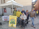 Alberi per la Giornata Nazionale: il M5S Vco dona nuove piante a Verbania, Omegna e Domodossola