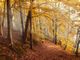 Previsioni per l’autunno: cosa ci aspetta? Le valutazioni di Arpa Piemonte.