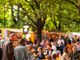A Novara tornano gli Street Chef del Rolling Truck Street Food Festival: buon cibo, Dj set e musica live
