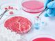 Carne artificiale, Coldiretti: &quot;L'opposizione alla legge va contro la scienza e la salute dei citadini&quot;