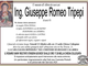Ing. Giuseppe Romeo Tripepi83 anni