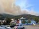 Incendio di Premosello, le fiamme divorano 600 ettari: Colloro evacuata, cresce la mobilitazione istituzionale Incendio di Premosello, le fiamme divorano 600 ettari: Colloro evacuata, cresce la mobilitazione istituzionale