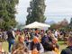 A Novara il secondo appuntamento con il Rolling Truck Street Food Festival in centro città nel verde del Parco Allea