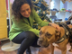 In Piemonte nascono gli 'ambulatori veterinari sociali'