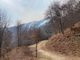 Valle Strona, il fronte del fuoco supera i 4 chilometri. Ora si spera nell'aiuto della pioggia FOTO
