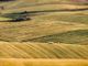 Agricoltura, 335mila euro per la conservazione del patrimonio vegetale