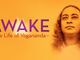 Documentario 'Awake' a Verbania