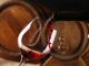Coldiretti Piemonte, &quot;Un bicchiere di vino ai pasti non è contro la legge&quot;