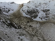 Frana sul Monte Rosa, un'ordinanza vieta l'avvicinamento o la pratica di escursionismo in tutta la zona