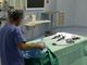 Il sindacato Anaao Assomed: ''No alla ristrutturazione dei due ospedali''