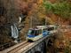 La magia dell’autunno a bordo del Treno del Foliage