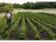Dal Piemonte 21 milioni di euro sul bando 2021 del Psr per imprese agroindustriali