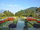 &quot;Soul gardens&quot;: il Distretto Turistico promuove ville e giardini del territorio
