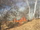 Incendio sopra Ornavasso, Fulgosi: “Chiunque abbia notizie o abbia visto la partenza delle fiamme è pregato di contattarmi”