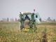 Coldiretti Piemonte: &quot;Altri 3 miliardi per l'agricoltura dal Pnrr&quot;