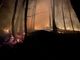 Incendi boschivi, la Regione Piemonte approva le linee guida per i piani di prevenzione territoriali Incendi boschivi, la Regione Piemonte approva le linee guida per i piani di prevenzione territoriali