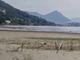 Lago basso, volontari in Sup per ripulire il Canneto di Fondotoce