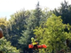 Cercatore di funghi cade nei boschi della Valle Strona e si ferisce alla testa VIDEO Cercatore di funghi cade nei boschi della Valle Strona e si ferisce alla testa VIDEO