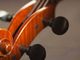 Un viaggio musicale con “M’accompagni Musetta?”