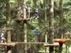 Mottarone Adventure Park apre con nuove aree giochi per bambini e tree climbing