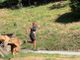Ritorna Mozzafiato Trail: la corsa attraverso la Valle Cannobina