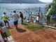 Più di duecentocinquanta atleti alla Traversata da Riva a Riva