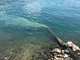 “Ma che cosa si scarica nel Lago Maggiore?”