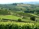 In Piemonte la sesta conferenza mondiale del turismo enologico