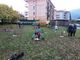 Continua la campagna di nuove piantumazioni a Verbania