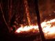 Vasto incendio alle pendici del monte Sciarrè, nel territorio del Comune di Gignese