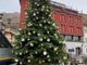 Cinque alberi di Natale e una pista di pattinaggio galleggiante per le festività omegnesi