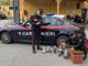 Nascondeva una serra rudimentale per la coltivazione di marijuana: arrestato un 20enne verbanese