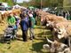 Foto Facebook Pro Loco Vergantino di Brovello Carpugnino