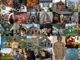 Convegno internazionale a Stresa: case-museo d'europa e il futuro della museologia