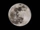 Occhi all’insù: stasera, mercoledì 13 luglio, c’è la Superluna più grande dell’anno