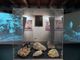 Un convegno per celebrare il decennale del museo GranUM