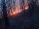 Continua l'emergenza incendi nei boschi del Vco