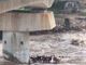 Vigili del fuoco salvano capre e pecore bloccate nelle acque del torrente Strona  FOTO e VIDEO