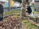 Il nuovo consiglio di quartiere di Crusinallo ha pulito il parco della Dogna