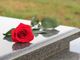 Al via la bonifica nel cimitero di Carciano “abbandonato a se stesso”