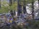 Dall’Ossola al Ticino: racconti di biodiversità