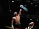 Boxe, Ivan Zucco combatte per il suo primo titolo internazionale