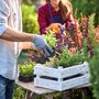 Piante e fiori arrivano dall'estero: l'sos di Coldiretti Piemonte